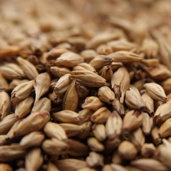 Malte Caraamber Weyermann 100g